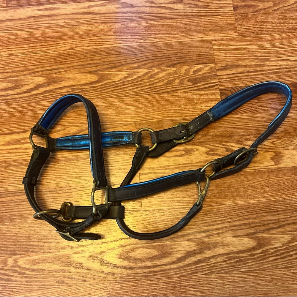 - Perris Leather horse halter brown/blue